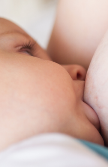 larch breastfeeding eugeniathomsen.com